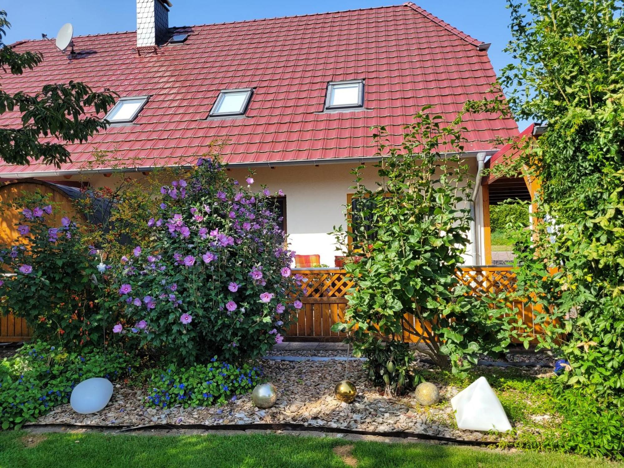 Ferienwohnung Halle Halle  Esterno foto